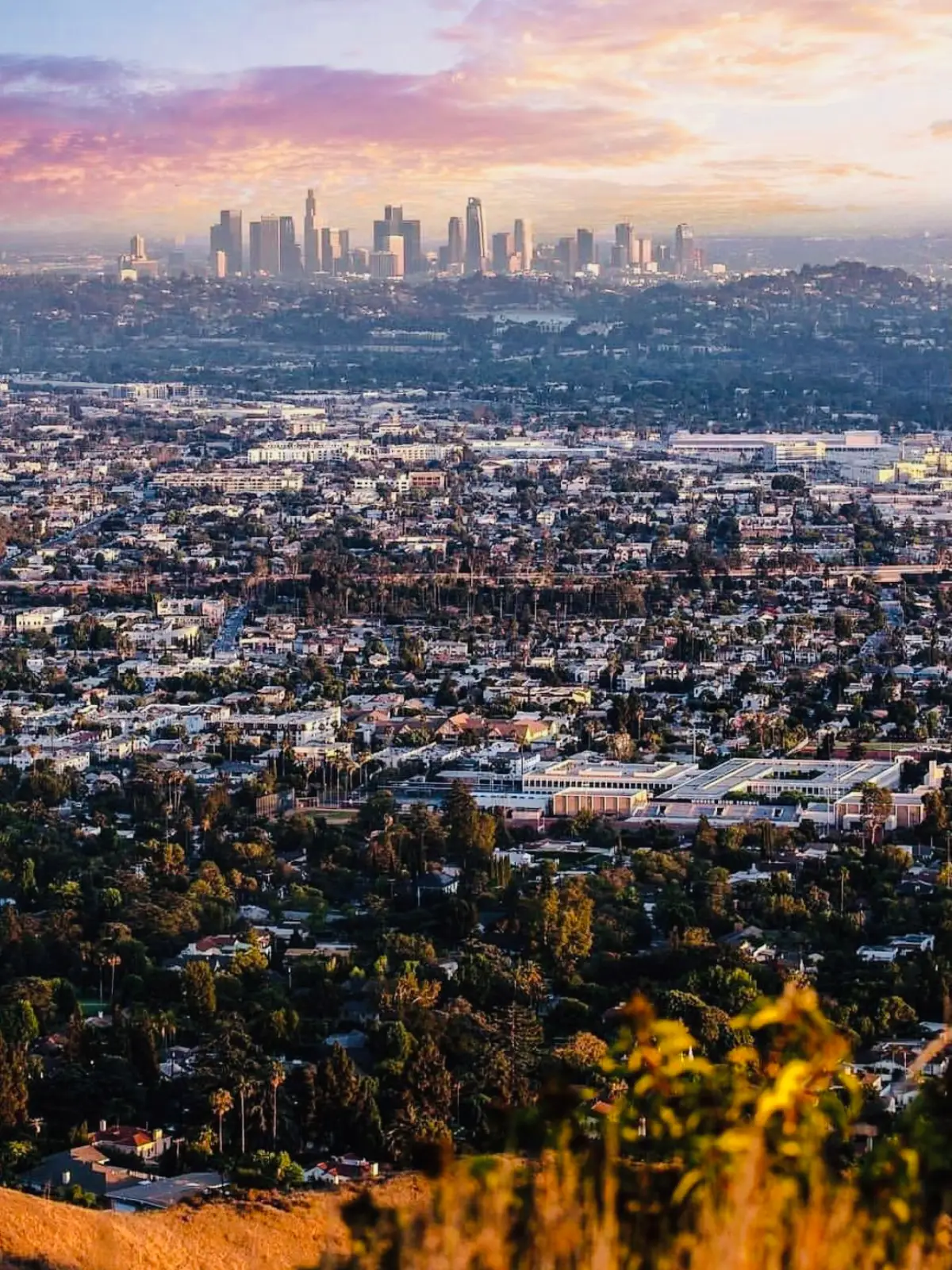 Los Angeles moving service area